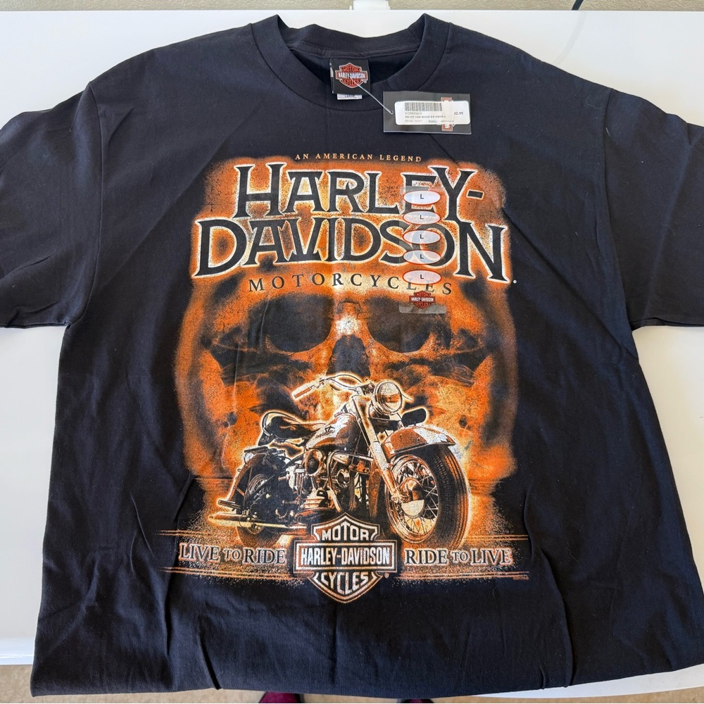 Harley-Davidson Black and Orange Skull Motorcycle Tee, NWT